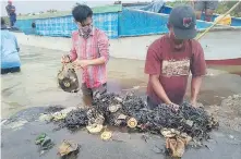  ?? MUHAMMAD IRPAN SEJATI TASSAKKA, AKKP WAKATOBI VIA AP ?? Researcher­s remove plastic waste from the stomach of a beached sperm whale at Wakatobi National Park in Indonesia.