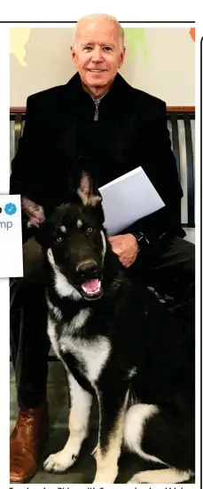  ?? ?? Top dog: Joe Biden with German shepherd Major