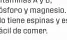  ??  ?? ¿Por qué incluirlo en la dieta? Es un pescado azul semigraso. No aporta mucha proteína, pero sí vitaminas A y B, fósforo y magnesio. No tiene espinas y es fácil de comer.