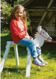  ??  ?? Lucia, 6 Jahre, aus Immenstadt hat mit ihrem Opi dieses schöne Pferd gebaut.