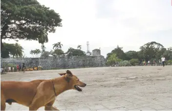  ?? SUNSTAR FOTO / AMPER CAMPAÑA ?? IDLE LAND. The proposed site of the Cebu City Skate Park at the back of Fort San Pedro in Cebu City remains untouched 10 months after city officials broke ground for the project.