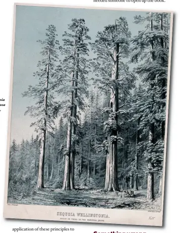  ??  ?? Right: Giant sequoia trees in the Mariposa Grove, California, 19th-century lithograph by WH McFarlane