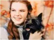  ??  ?? Judy Garland, as Dorothy Gale, holds Toto in The Wizard Of Oz.