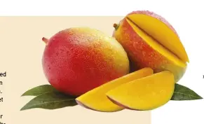 ??  ?? CLOCKWISE FROM LEFT Sweet, juicy mangoes are a summer delight; Kensington Pride fruit ripening on the tree; ready-to-enjoy Florigon; mangoes ower profusely on the ends of branches; purple Dwarf Palmer fruit; Nam Doc Mai has pale yellow esh; large fruit of Valencia Pride.