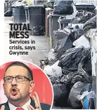  ??  ?? TOTAL MESS Services in crisis, says Gwynne