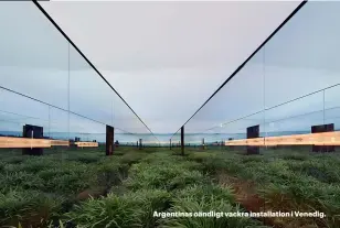  ??  ?? Argentinas oändligt vackra installati­on i Venedig.