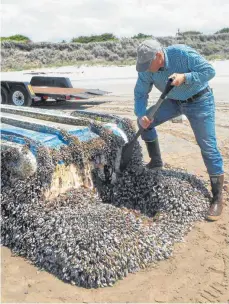  ?? FOTO: -/RUSS LEWIS/DPA ?? Der Biologe John Chapman untersucht ein angespülte­s japanische­s Boot am Strand von Long Beach (USA).