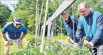  ?? CHRIS SHANNON/CAPE BRETON POST ?? The $8,000 Age-Friendly grant provided to Breton Ability Centre by the province will allow for it to offer horticultu­ral and exercise therapy sessions to seniors living at the Sydney River facility and to those living in the larger community. Brian...