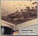  ?? ?? DISGUSTING Mould on ceiling