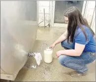  ?? ?? Chloe Hillian fills a glass gallon jar with raw milk produced by dairy cows on Hillian Ranch. The tank holds 500 gallons of raw milk that is sold from the farm’s store.