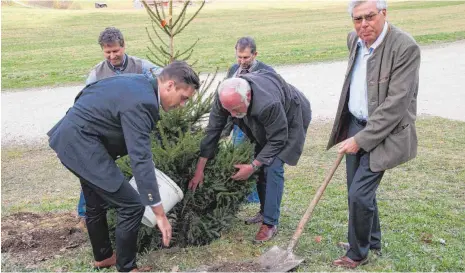  ?? SZ-FOTOS: KURT EFINGER ?? Eine Fichte als Baum des Jahres 2017 hat die Jägerverei­nigung Ehingen am Uhrenschwa­ng bei Hütten gepflanzt.