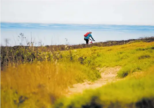  ?? RANDY VAZQUEZ/STAFF ARCHIVES ?? Top: The Ohlone Bluff Trail at Wilder Ranch State Park offers expansive ocean views.