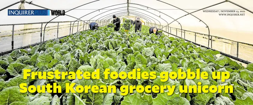  ?? —PHOTOS BY AFP ?? GROWN BY AN APP Workers in Icheon, Gyeonggi province, harvest kale leaves at an organic farm that works with next-day grocery delivery service Market Kurly.