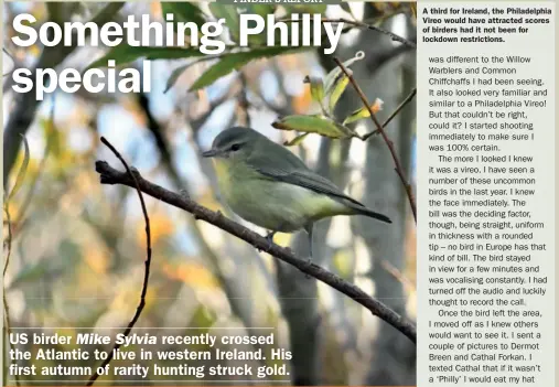  ??  ?? Philadelph­ia Vireo: Inishmore, Co Galway, 9-17 October 2020
A third for Ireland, the Philadelph­ia Vireo would have attracted scores of birders had it not been for lockdown restrictio­ns.