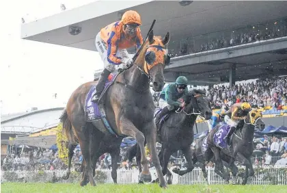  ?? Picture / Bradley Photograph­y ?? Opie Bosson and Gingernuts will jump from gate 12 in the A$2m Australian Derby.