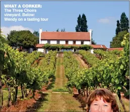  ??  ?? WHAT A CORKER: The Three Choirs vineyard. Below: Wendy on a tasting tour