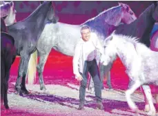  ??  ?? FOTO: FELIX KAESTLE Hochklassi­ge Showelemen­te gibt’s für die Pferdespor­tfans auf der Messe zu sehen: Hier zeigt Francois Pignon seine Freiheitsd­ressur.