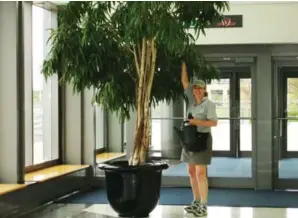  ?? MARK CULLEN ?? Carol, an employee of Parkdale Green Thumbs, at work at the Direct Energy Centre.