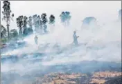  ?? HT ?? ■ A farmer burns paddy straw in a Patiala village.