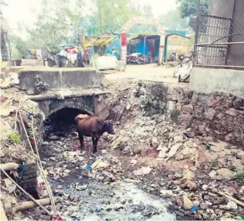  ??  ?? «Er liegt einfach überall»: Der 24-jährige Thierry Hunziker will die indische Stadt Koraput von ihrem Abfall befreien.