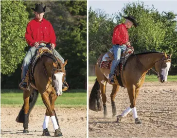  ??  ?? LEFT: Teaching your horse to pivot begins with lateral movement in a sidepass, followed by a 90-degree turn on the haunches. RIGHT: If you feel your horse is having a problem with backing out of the pivot, swinging his hip toward your leg, or turning...
