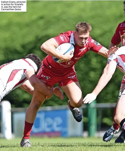  ?? ?? Tries: K Evans (2), R Bean, J Wilson; Con: S Marshall; Pens: S Marshall, J Wilson.
Tries: J Davies (2), C Long, N Hart; Cons: J Phillips (2); Pen: J Phillips.
Kallum Evans, pictured in action for Scarlets A, was the hero for Carmarthen Quins.