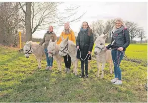  ?? FOTO: KLAPPBOOMS­HOF ?? Die vier Esel sind klein, freundlich und ideale Begleiter.