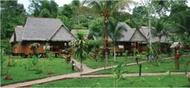  ?? TAMBOPATA ECOLODGE ?? The accommodat­ions at Tambopata Ecolodge include showers and electricit­y for a few hours a day.