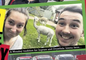  ??  ?? Llama farm... for Ingram and Drysdale: A Monday tradition