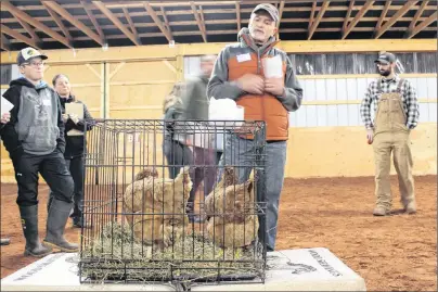  ?? ALISON JENKINS/ THE GUARDIAN ?? Bob Glover talks about caring for meat chickens and laying hens. He raises 250 chickens each year and keeps a flock of purebred Light Sussex laying hens.