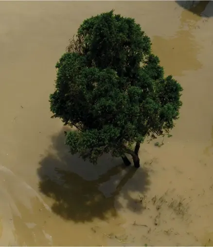  ?? AFP ?? Monsoons has been above average this year, causing floods in some states such as Kolkata, pictured. But crop sowing has decelerate­d