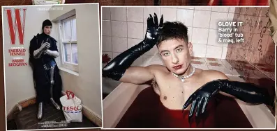  ?? ?? GLOVE IT Barry in ‘blood’ tub & mag, left