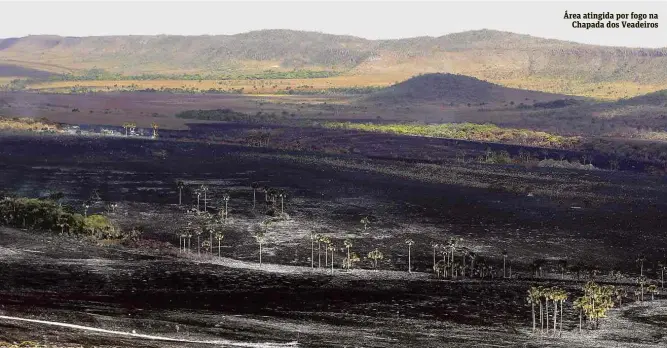  ?? Valter Campanato/Agência Brasil ?? Área atingida por fogo na Chapada dos Veadeiros