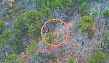  ??  ?? The search-and-rescue drone has a camera so powerful that “you can see the nose on a guy’s face on the ground from 400 feet up.” Here, it pinpoints Bill’s orange cap in the forest.