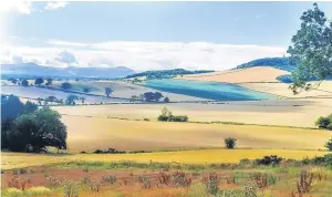  ??  ?? “I was out cycling in Fife and spotted this view from a path near Moonzie,” says Eric Niven of Dundee. “I must go back for another look soon.”