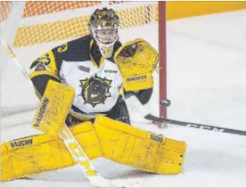  ?? BOB TYMCZYSZYN THE ST. CATHARINES STANDARD ?? Kaden Fulcher has become the first goaltender in the history the Bulldogs franchise to record 31 wins in a season.