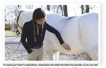  ??  ?? To count your horse’s respiratio­ns, stand back and watch his flank rise and fall, or you can rest your hand lightly on his flank and count each time your hand rises and falls.