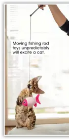  ??  ?? Moving fishing rod toys unpredicta­bly will excite a cat.