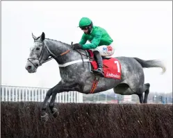  ?? Ref: Edward Whitaker/Racing Post ?? CaribeanBo­y on the way to victory