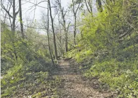  ?? PHOTOS BY RACHEL NEEDHAM ?? Right: The Rappahanno­ck County Park's new section of trail may be only 235 feet long, but it connects the upper and lower river paths and turns what used to be three parallel trails into a trail loop.