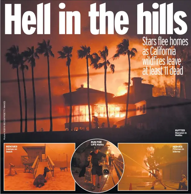  ??  ?? RESCUED Llamas on beach RUN FOR LIFE Malibu GUTTED Mansion in Malibu HEROES Firemen in inferno