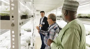  ??  ?? Dr Peter Kulakow of IITA Cassava Breeder (middle) explaining the SAH technology in Ibadan on how thousands of cassava seedlings are propagated in record time