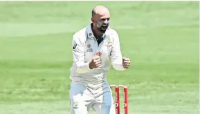 ??  ?? Nathan Lyon celebrates taking the wicket of Indian batsman Shubman Gill during the fourth test at The Gabba on Tuesday.