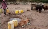  ?? ?? Un homme porte des cruches pour aller chercher de l'eau dans un trou dans le lit d'une rivière sablonneus­e dans le comté de Makueni, au Kenya, le jeudi 29 février 2024.