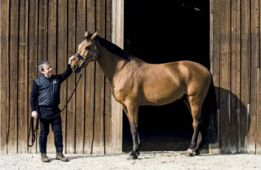  ??  ?? Moreno Zani, 50 anni, fondatore della società indipenden­te di gestione finanziari­a Tendercapi­tal e della scuderia sportiva Tendercapi­tal Stables. Con lui nella foto: l’amato cavallo Nontender