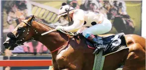  ?? JC PHOTOGRAPH­ICS ?? Mike and Adam Azzie-trained Greek Fire will be very hard to outshine when he runs at the Vaal today. /