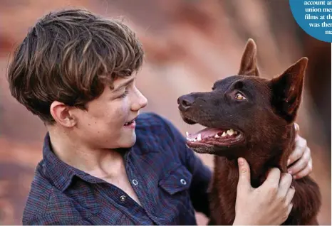  ?? PHOTO: CONTRIBUTE­D ?? Levi Miller and the dog Phoenix in a scene from Red Dog: True Blue.