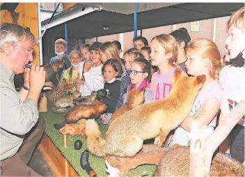  ?? FOTO: SCHEFFLER ?? Aufmerksam haben die Schermbeck­er Grundschül­er die Berichte von Hegeringsl­eiters Kay Schmeing über die heimische Tierwelt verfolgt. Nachgeahmt­e Stimmen mussten die Kinder den passenden Tieren zuordnen.