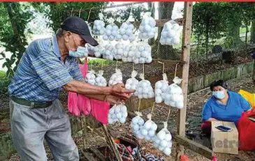  ?? PIC BY NURALIAWAT­I SABRI ?? Jaapar Leman arranging packets of golf balls, which are sold for RM30 each, on a makeshift stand near the Tiara Golf and Country Club in Ayer Keroh, Melaka. With him is his wife Arniza Mokhtar.