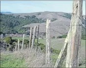  ?? FRANKIE FROST — MARIN INDEPENDEN­T JOURNAL ?? MALT has received more than $14.8 million in Measure A funds since 2014 to help purchase easements. Its deals include a 330-acre easement on the Gallagher Ranch, above in 2015, in West Marin.